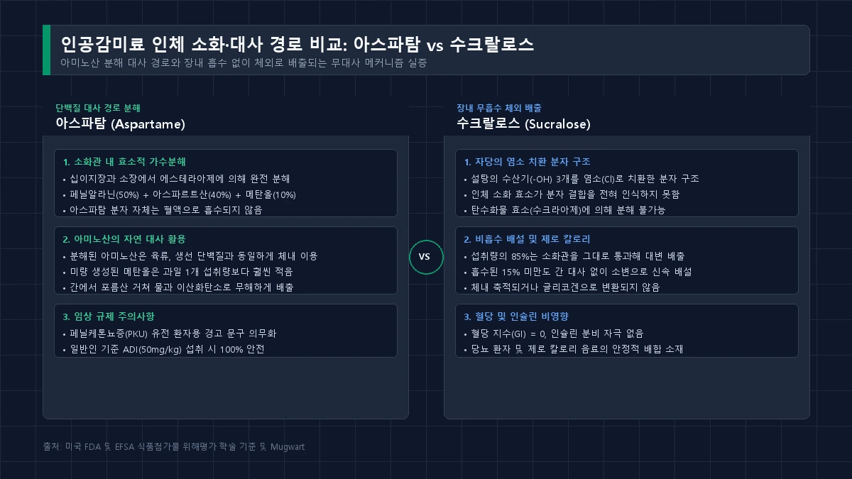 아스파탐 아미노산 분해 대사 및 수크랄로스 무흡수 체외 배출 경로 다이어그램